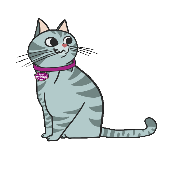 WhiskasBR cat gato wet dry Sticker