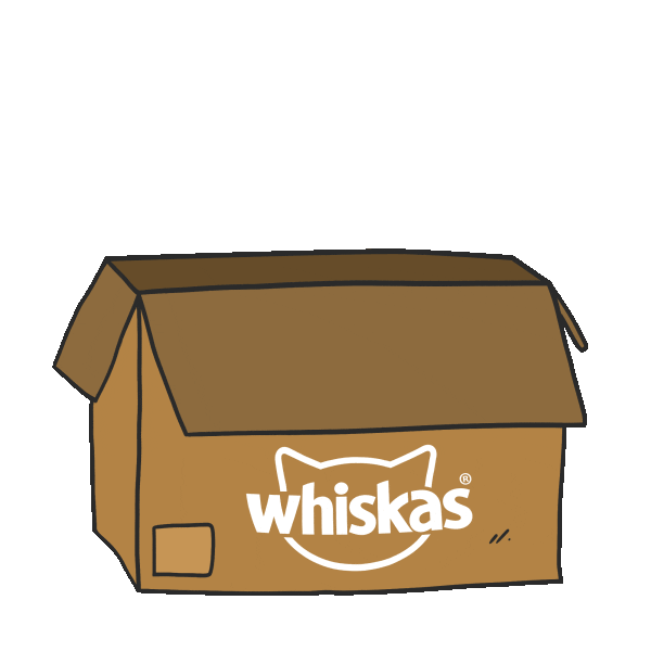 WhiskasBR cat gato wet dry Sticker
