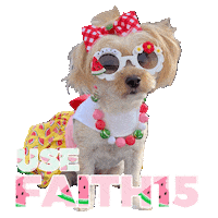 Watermelon Sticker by Pimp Yo Pets