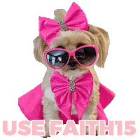 Yorkie Maltese Sticker by Pimp Yo Pets