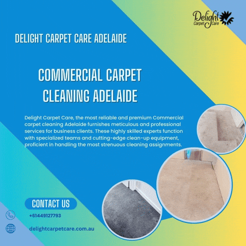 delightcarpetcare giphyupload GIF