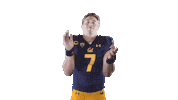 Garbers Sticker by Cal Athletics