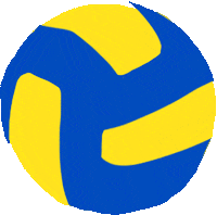 Ball Volleyball Sticker by Lidl Bulgaria