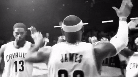 GIF by David