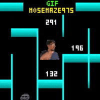 Maze 975 Mose GIF