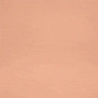 camera GIF by Daniel Castro