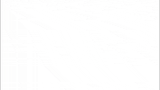 Tiendas_ara carnaval carnival tiendasara GIF