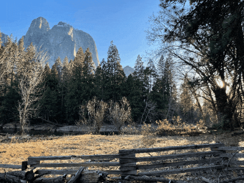 tobywagstaff giphygifmaker giphyattribution GIF