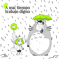 DignificandoMX meme lluvia totoro bhfyp Sticker
