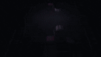 Football Houston GIF by XFL