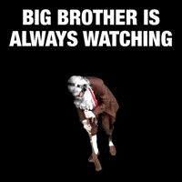 Monitoring Big Brother GIF