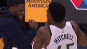 Donovan Mitchell Nba GIF by Utah Jazz