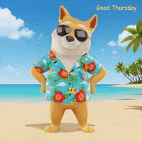 Happy Shiba Inu GIF by Doge Pound