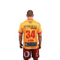GOGSport handball handbold gog gudme Sticker