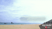 model photo GIF by Lifetime Telly