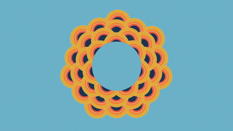 GIF by Festival Courts d'un soir