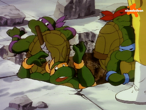 Tmnt GIF by Teenage Mutant Ninja Turtles