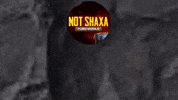 NOTshaxa notshaxa not shaxa shaxa sila not shaxa sila GIF