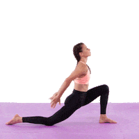 Anna Lewandowska Workout Sticker by Diet & Training by Ann