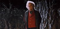 lord of the rings bilbo GIF by Maudit