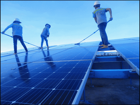 dark11cobra giphyupload GIF