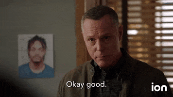 Onechicago Chicagopd GIF by ION