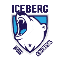 Iceberg F45 Training Sticker by F45 Ajax Central