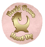 Equiboodle horse equestrian besttackshopever equiboodle Sticker