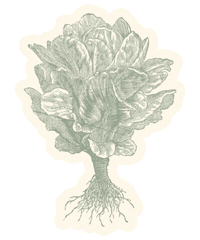 Koncept Sticker by Orkla FoodSolutions