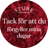 Valentine Love Sticker by Sturegallerian