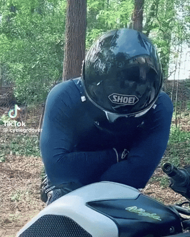 Look Up GIF