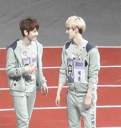 korean love GIF