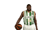 Liga Endesa Basketball Sticker by ACB