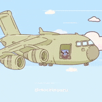 Mochinyaru cat jump plane spy GIF