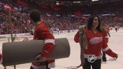 ice hockey GIF by NHL