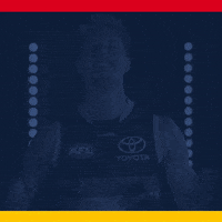 Afl GIF by Adelaide Crows