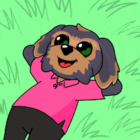 Laugh Lol GIF by BoDoggos