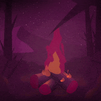Fire Night GIF by wees