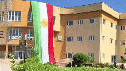 Flag GIF