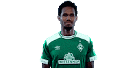 gebre selassie football Sticker by SV Werder Bremen