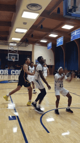 Manor Blue Jays GIF by Manor College