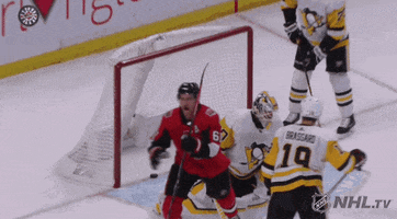 happy ice hockey GIF by NHL