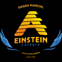 Soueinstein GIF by Colégio A. Einstein