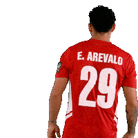 Happy Football Player Sticker by Nike liga