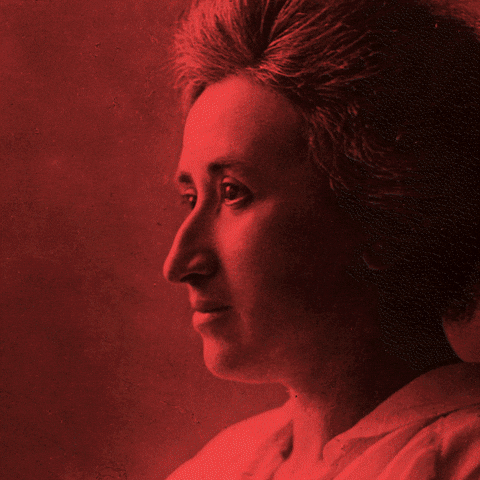 Rosa Ist GIF by Die Linke Schwelm