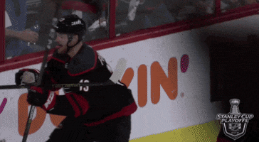happy ice hockey GIF by NHL