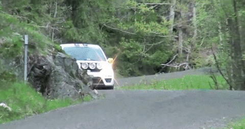 giphygifgrabber GIF