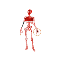 Skeleton Sticker by Bayonet Records