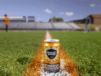 Sam Adams Football GIF by Samuel Adams Beer