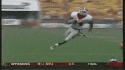 Georgia Football Dive GIF by Georgia Bulldogs